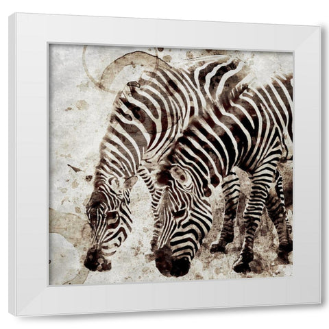 Zebras White Modern Wood Framed Art Print by Allen, Kimberly