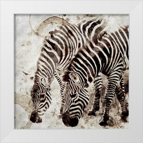 Zebras White Modern Wood Framed Art Print by Allen, Kimberly