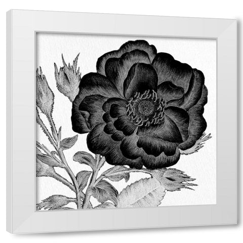 Black and White Bloom 1 White Modern Wood Framed Art Print by Allen, Kimberly