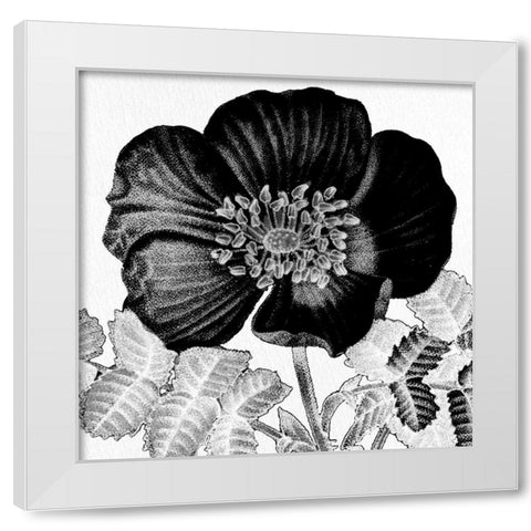 Black and White Bloom 2 White Modern Wood Framed Art Print by Allen, Kimberly