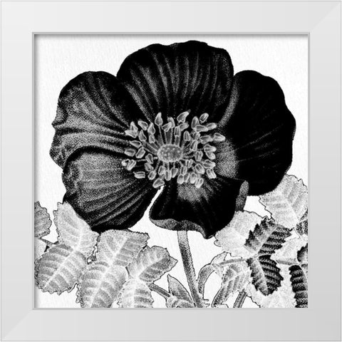 Black and White Bloom 2 White Modern Wood Framed Art Print by Allen, Kimberly