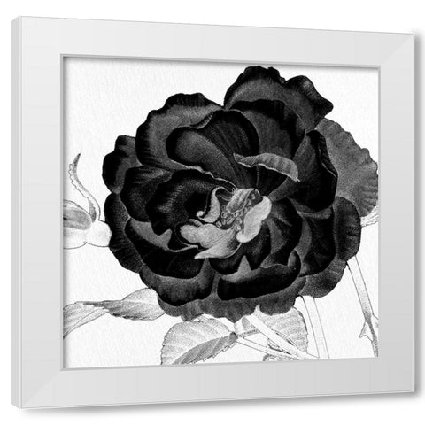 Black and White Bloom 3 White Modern Wood Framed Art Print by Allen, Kimberly