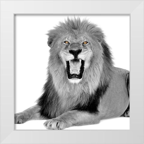 Power White Modern Wood Framed Art Print by Allen, Kimberly