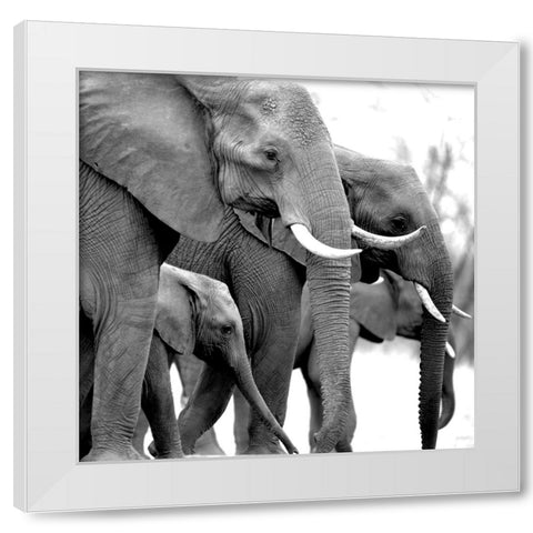 Your Treasure White Modern Wood Framed Art Print by Allen, Kimberly