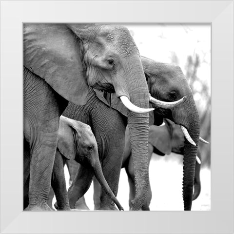 Your Treasure White Modern Wood Framed Art Print by Allen, Kimberly
