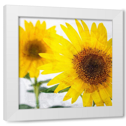 Sunnyside White Modern Wood Framed Art Print by Allen, Kimberly