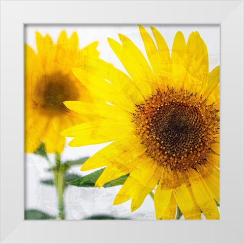 Sunnyside White Modern Wood Framed Art Print by Allen, Kimberly