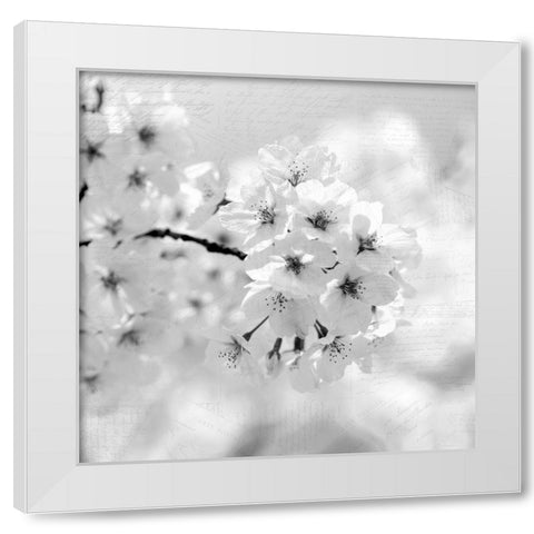 Postcard Magnolia 1 White Modern Wood Framed Art Print by Kimberly, Allen