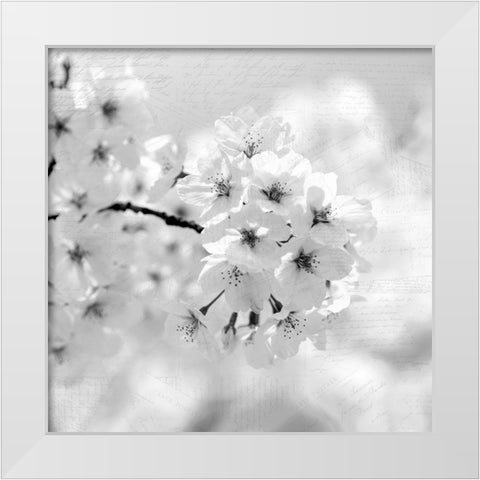 Postcard Magnolia 1 White Modern Wood Framed Art Print by Kimberly, Allen