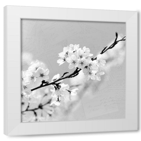 Postcard Magnolia 2 White Modern Wood Framed Art Print by Kimberly, Allen