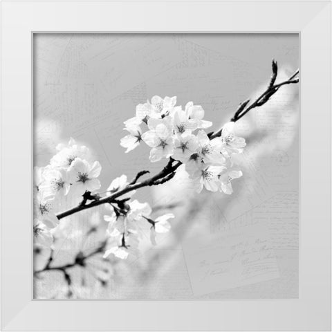 Postcard Magnolia 2 White Modern Wood Framed Art Print by Kimberly, Allen