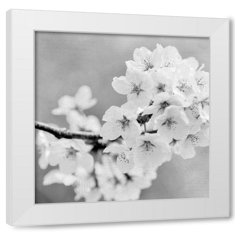 Postcard Magnolia 3 White Modern Wood Framed Art Print by Kimberly, Allen