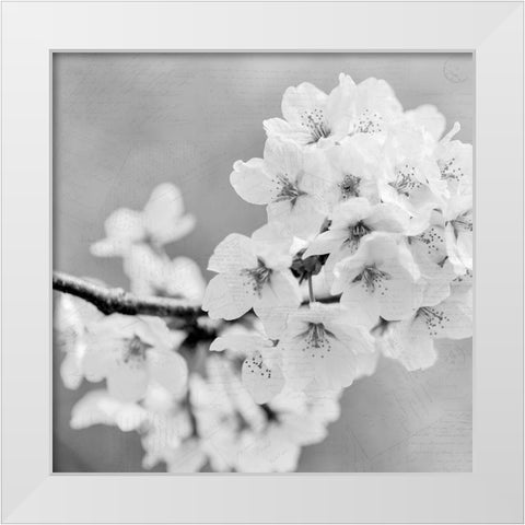 Postcard Magnolia 3 White Modern Wood Framed Art Print by Kimberly, Allen