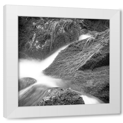 Over the Rocks 3 White Modern Wood Framed Art Print by Kimberly, Allen