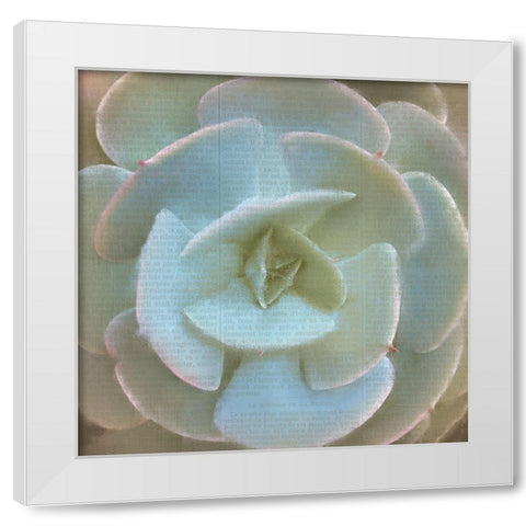 Newspaper Succulent 2 White Modern Wood Framed Art Print by Kimberly, Allen