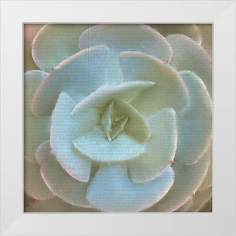 Newspaper Succulent 2 White Modern Wood Framed Art Print by Kimberly, Allen