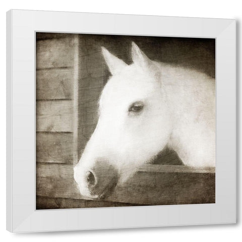 Glory White Modern Wood Framed Art Print by Allen, Kimberly