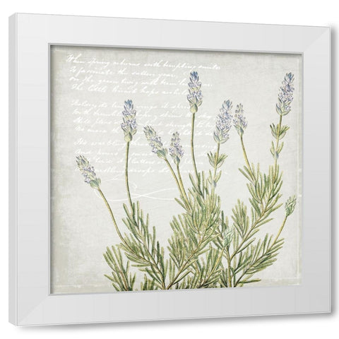 Lavender 2 White Modern Wood Framed Art Print by Kimberly, Allen