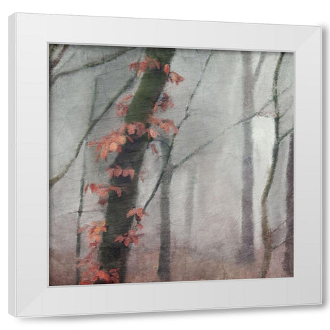 Fall Mood White Modern Wood Framed Art Print by Kimberly, Allen
