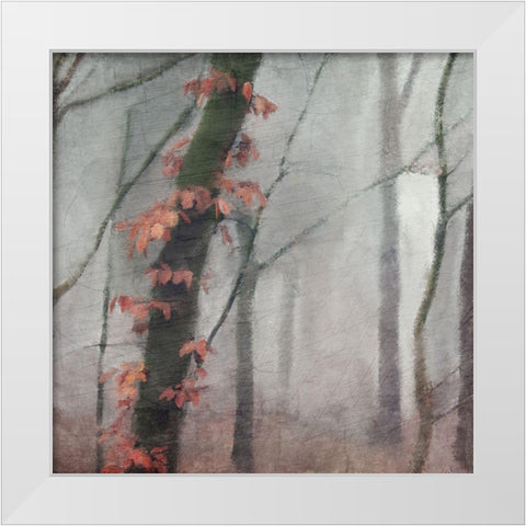 Fall Mood White Modern Wood Framed Art Print by Kimberly, Allen