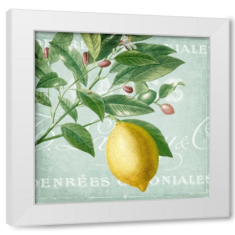 Lemon Drop 1 White Modern Wood Framed Art Print by Kimberly, Allen