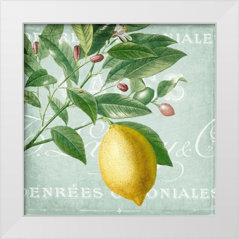 Lemon Drop 1 White Modern Wood Framed Art Print by Kimberly, Allen