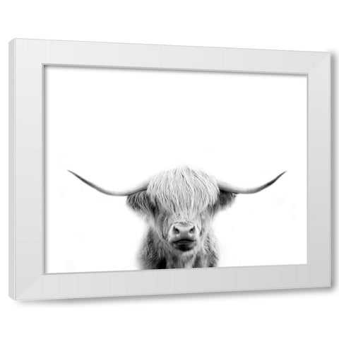 Scottish Cow White Modern Wood Framed Art Print by Straatsma, Leah