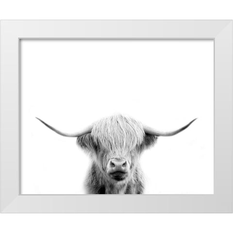 Scottish Cow White Modern Wood Framed Art Print by Straatsma, Leah