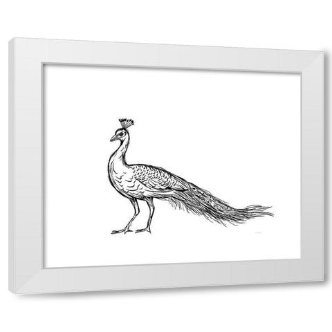 Black Peacock White Modern Wood Framed Art Print by Straatsma, Leah