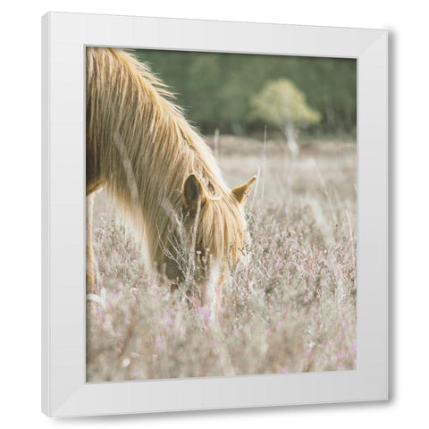 Golden Horse In Meadow White Modern Wood Framed Art Print by Straatsma, Leah