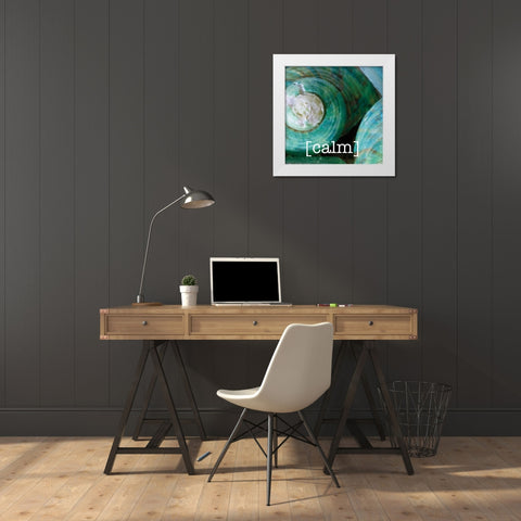 Calming Shells White Modern Wood Framed Art Print by Hogan, Melody