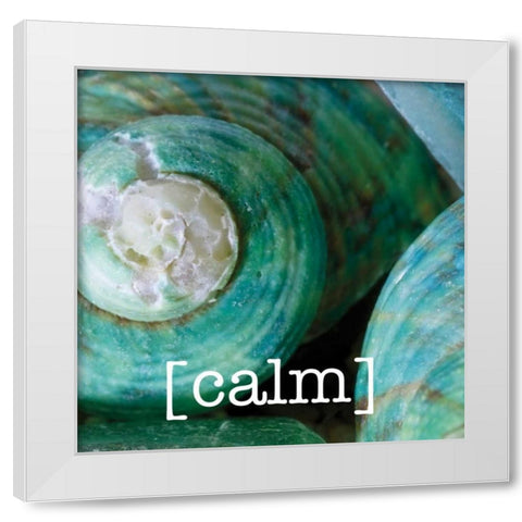 Calming Shells White Modern Wood Framed Art Print by Hogan, Melody