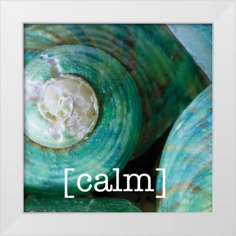 Calming Shells White Modern Wood Framed Art Print by Hogan, Melody