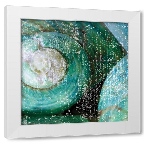 Tropical Shells White Modern Wood Framed Art Print by Hogan, Melody