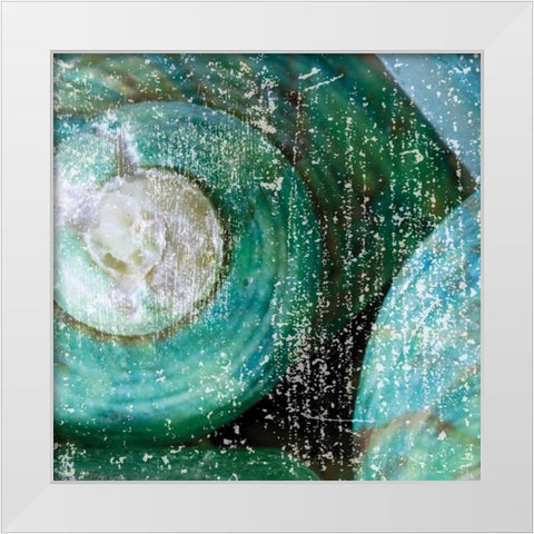 Tropical Shells White Modern Wood Framed Art Print by Hogan, Melody