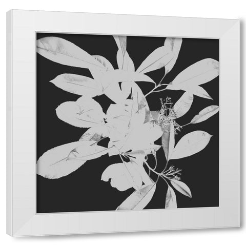 Botanical Dark 1 White Modern Wood Framed Art Print by Hogan, Melody