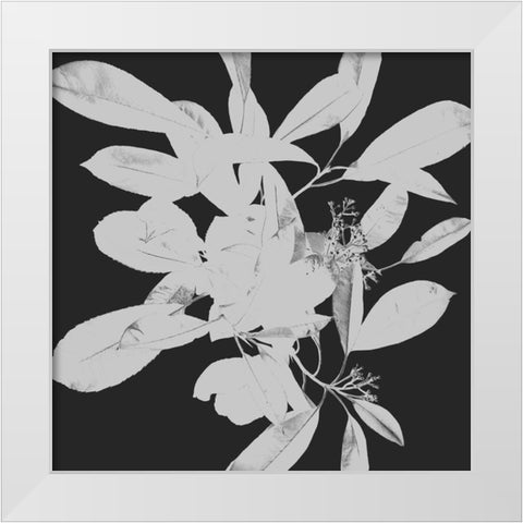 Botanical Dark 1 White Modern Wood Framed Art Print by Hogan, Melody