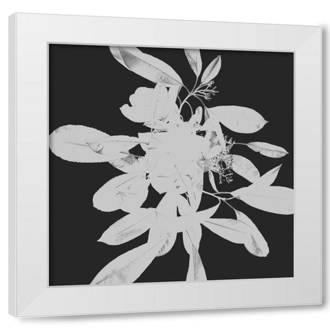 Botanical Dark 2 White Modern Wood Framed Art Print by Hogan, Melody