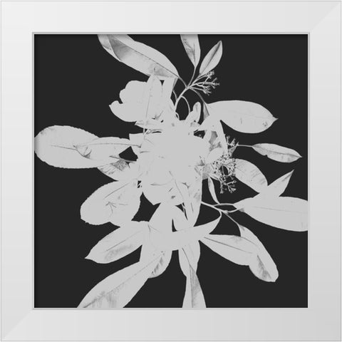 Botanical Dark 2 White Modern Wood Framed Art Print by Hogan, Melody