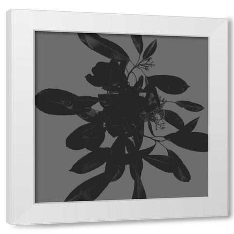 Botanical Light 1 White Modern Wood Framed Art Print by Hogan, Melody