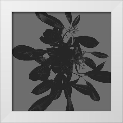 Botanical Light 1 White Modern Wood Framed Art Print by Hogan, Melody