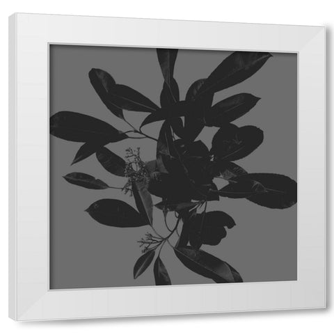 Botanical Light 2 White Modern Wood Framed Art Print by Hogan, Melody