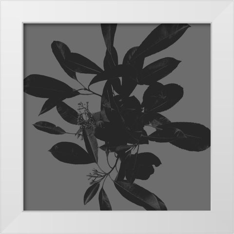 Botanical Light 2 White Modern Wood Framed Art Print by Hogan, Melody