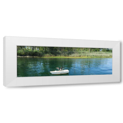 Scenic River 3 White Modern Wood Framed Art Print by Prime, Marcus