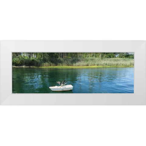 Scenic River 3 White Modern Wood Framed Art Print by Prime, Marcus