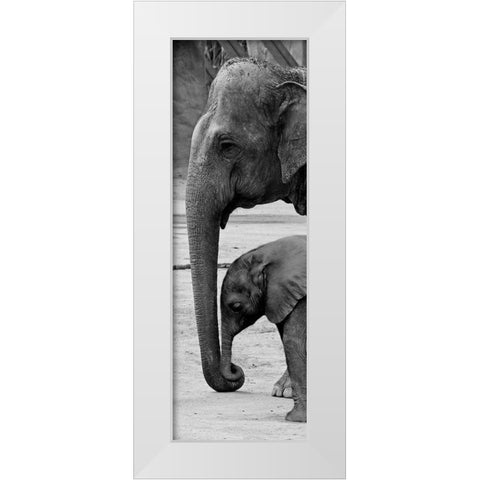 Mothers Love White Modern Wood Framed Art Print by Prime, Marcus