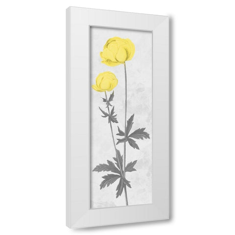 Shinning Bloom White Modern Wood Framed Art Print by Prime, Marcus