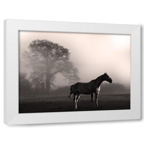 Wandering Horse 3 White Modern Wood Framed Art Print by Prime, Marcus
