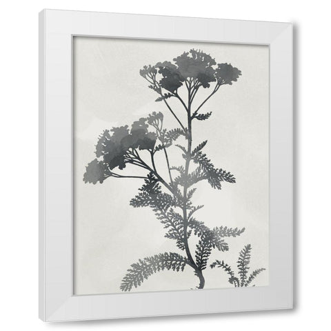 Shadowed Botanical White Modern Wood Framed Art Print by Prime, Marcus