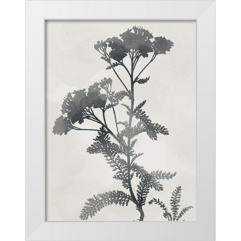 Shadowed Botanical White Modern Wood Framed Art Print by Prime, Marcus